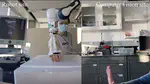 Remote Ultrasound Scanning
